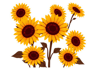 Create a Cheerful Atmosphere with this New Transparent Background Vector of a Beautiful Sunflower Cluster, Blending Nature with a Modern Style.