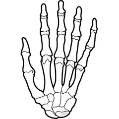 human hand vector illustration