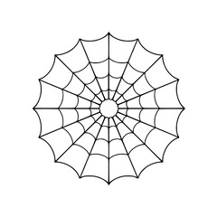 Obraz premium spider and web