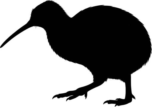 Silhouette Kiwi Bird Walking