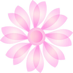 Pink Floral with Petals