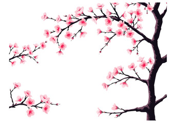 Elegant New Vector Design Featuring a Branch of Pink Sakura Flowers, Perfect for a Love Card or Any Romantic and Beautiful Design with a Transparent Background.