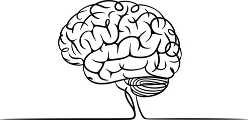 Stylized line drawing of human brain, minimalist neurology art, symbolizing cognition, intelligence, mental health, neuroscience, psychology, anatomy, and scientific research