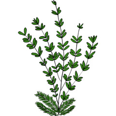 Green Leaves Illustration