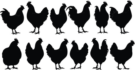 Chicken and rooster silhouettes set, farm poultry vector, black clipart design, domestic bird illustration, village animal art, decorative livestock symbol