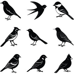 Fototapeta premium Nine Silhouette Bird Illustrations Songbird, Swallow, Chickadee, Magpie, Starling, Finch and Cardinal Graphics