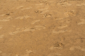 sand 