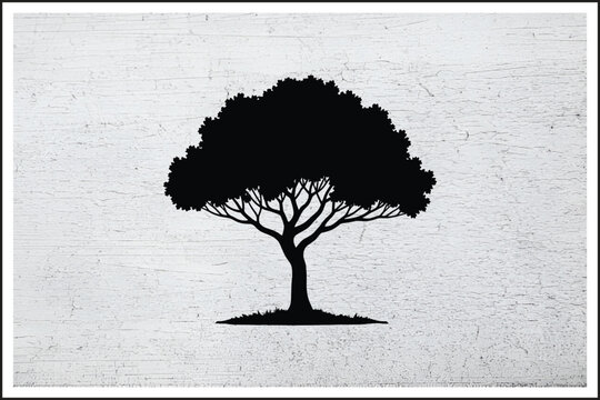 The Majestic Beauty of the Ash Tree,
Ash Tree: Symbol of Strength and Renewal,
Exploring the Life Cycle of the Ash Tree,
Ash Tree Leaves: Nature&rsquo;s Delicate Design