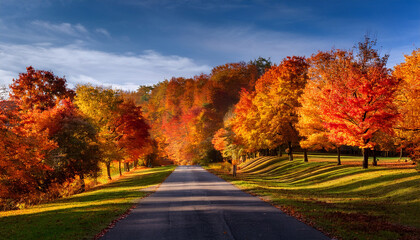 Obraz premium autumn hues and vibrant colors