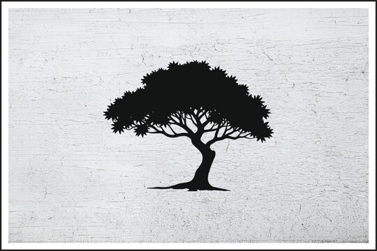 The Majestic Beauty of the Ash Tree,
Ash Tree: Symbol of Strength and Renewal,
Exploring the Life Cycle of the Ash Tree,
Ash Tree Leaves: Nature&rsquo;s Delicate Design