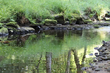 View along a woodland river with a rocky bed, with green reflections in the still water