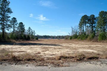Cleared land with trees under blue sky