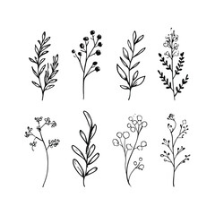 Illustration of eight different hand drawn botanical elements with leaves and berries in black and white