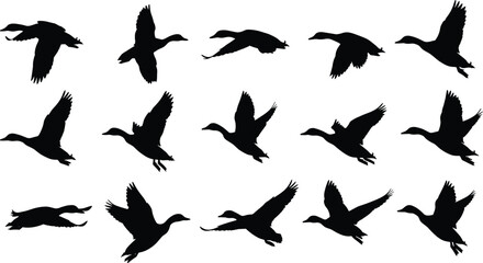 Flying duck silhouettes, wild bird vector, waterfowl illustration, black animal design, migration clipart, hunting symbol, nature wildlife icon, goose shape