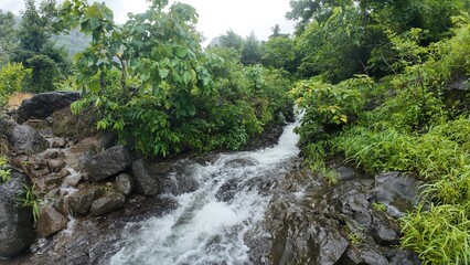 Fast-Flowing Stream Cascading over Rocks in a Natural Landscape