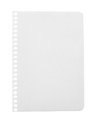 Torn-out notebook page with visible binder holes on left edge isolated in transparent PNG. Empty...