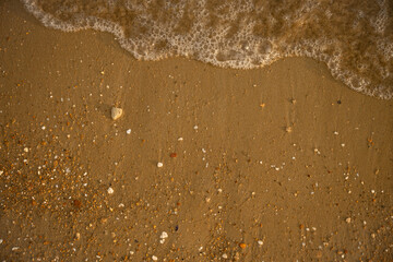 Soft sea waves gently washing over golden sand, dotted with seashells, evoke relaxing and idyllic vibes of a perfect summer vacation by the coast