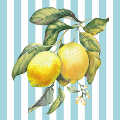 Lemon fruit branch on a classic blue striped background. Inspired by the timeless Mediterranean aesthetic of the Amalfi Coast. Perfect for summer-themed prints, packaging, textiles, kitchen decor, and