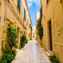 Fototapeta premium A sun-drenched alleyway lined with pastel yellow stone buildings, showcasing lush greenery and traditional architecture.