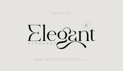 Elegant luxury alphabet letters font and number. Classic Lettering Minimal Fashion Designs. Typography fonts regular uppercase and lowercase. vector illustration

