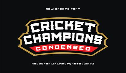 Classic college font. Vintage sport font in american style for football, baseball or basketball logos and t-shirt. Athletic department typeface, varsity style font. Vector
