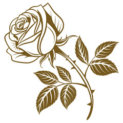 rose vector illustration