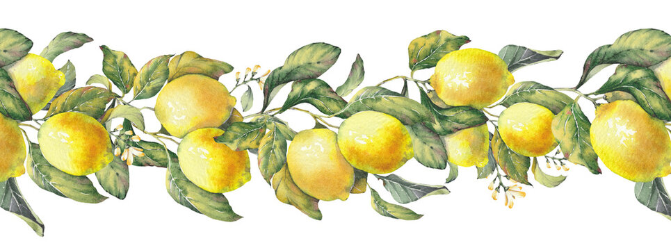 Lemon fruit branches. Seamless border inspired by the timeless Mediterranean aesthetic of the Amalfi Coast. Perfect for summer-themed prints, packaging, textiles, kitchen decor, and coastal design
