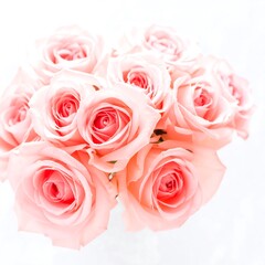 Naklejka premium Close-up of delicate pink roses