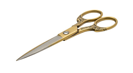 Obraz premium Ornate vintage scissors with gold handles and silver blades