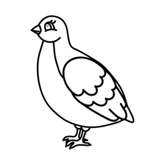 Outline drawing of a cute cartoon bird with simple lines for coloring.