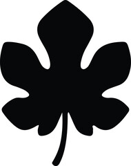 Vector Fig leaf single isolated element botanical silhouette Illustrator