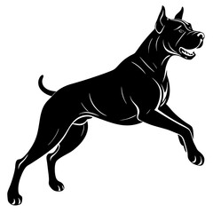 Obraz premium silhouette of boxer dog Jumping on white background