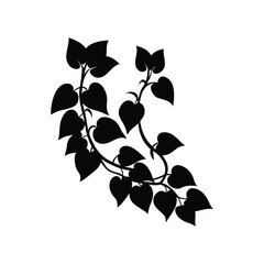 Stylized Black and White Illustration of Twining Vines with Heart Shaped Leaves, liana vine silhouette vector illustration