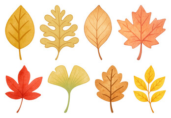 PNG Colorful autumn leaves illustration, element set on transparent background