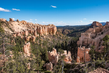 Felsformationen und Bäume im Bryce Canyon