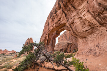 Sandsteinbogen mit Vegetation im Vordergrund