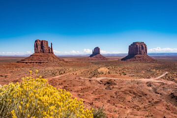 Drei Buttes im Monument Valley mit gelber Pflanze im Vordergrund