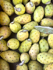 Vertical photo of fresh green and yellow Maltese cactus fruit. An exotic sweet fruit explored during an exciting journey to this small but so diverse country. Exotic food and travel themes.