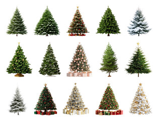 PNG Diverse festive Christmas trees collection, element set on transparent background