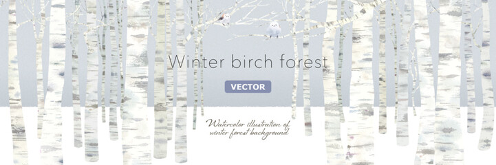 冬の落葉したシラカバの森の背景。水彩イラスト。（ベクター。レイアウト変更可能）