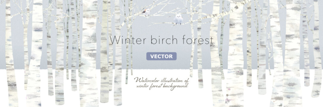 冬の落葉したシラカバの森の背景。水彩イラスト。（ベクター。レイアウト変更可能）