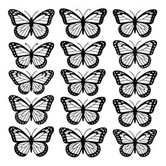 Fototapeta premium Fifteen Black and White Monarch Butterfly Silhouettes on White Background insect flying