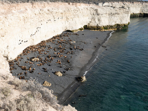 spiaggia di lupi marini