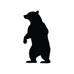 Silhouette of a Powerful Grizzly Bear Standing Tall on Its Hind Legs, bear standing on hind legs silhouette vector illustration