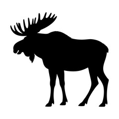 Fototapeta premium Moose Silhouette Vector Illustration