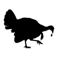 Turkey Silhouette Vector Illustration , Animal Silhouette Element