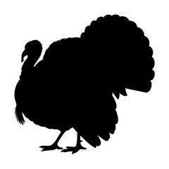 Turkey Silhouette Vector Illustration , Animal Silhouette Element