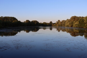 View across a lake in summer, with tree reflections in the still water