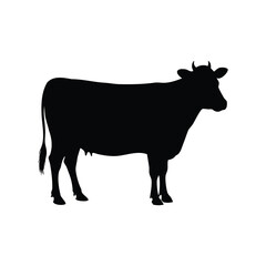 Monochrome cow silhouette standing on a white background in simple illustration, cow on silhouette vector illustration