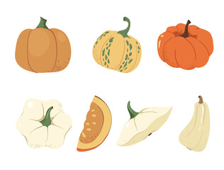 Fall Pumpkin and Gourd Set Flat Vector Illustration for Thanksgiving Cards, Autumn Patterns, and Seasonal Festive Designs. Pumpkin Harvest Seasonal Thanksgiving Plant Squash